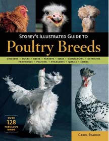 Storey's Illustrated Guide to Poultry